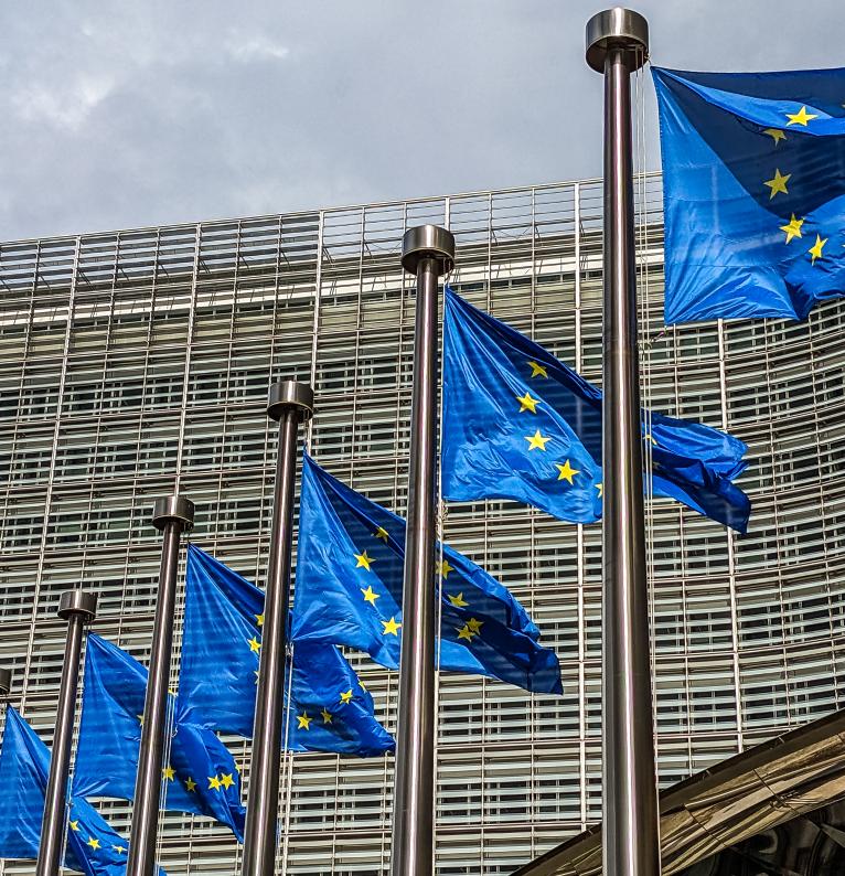 European flag in front of the parlement